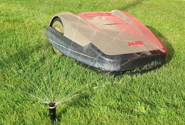 a robot lawn mower as a groundskeeper hack